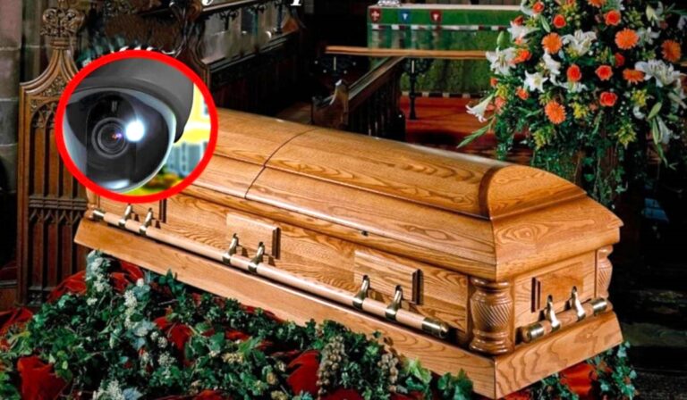 Scientists Observed 17 Months of Natural Decomposition — What the Footage Revealed